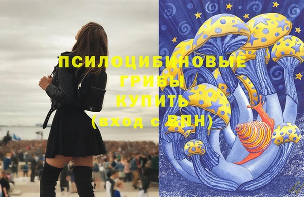 дживик Алзамай